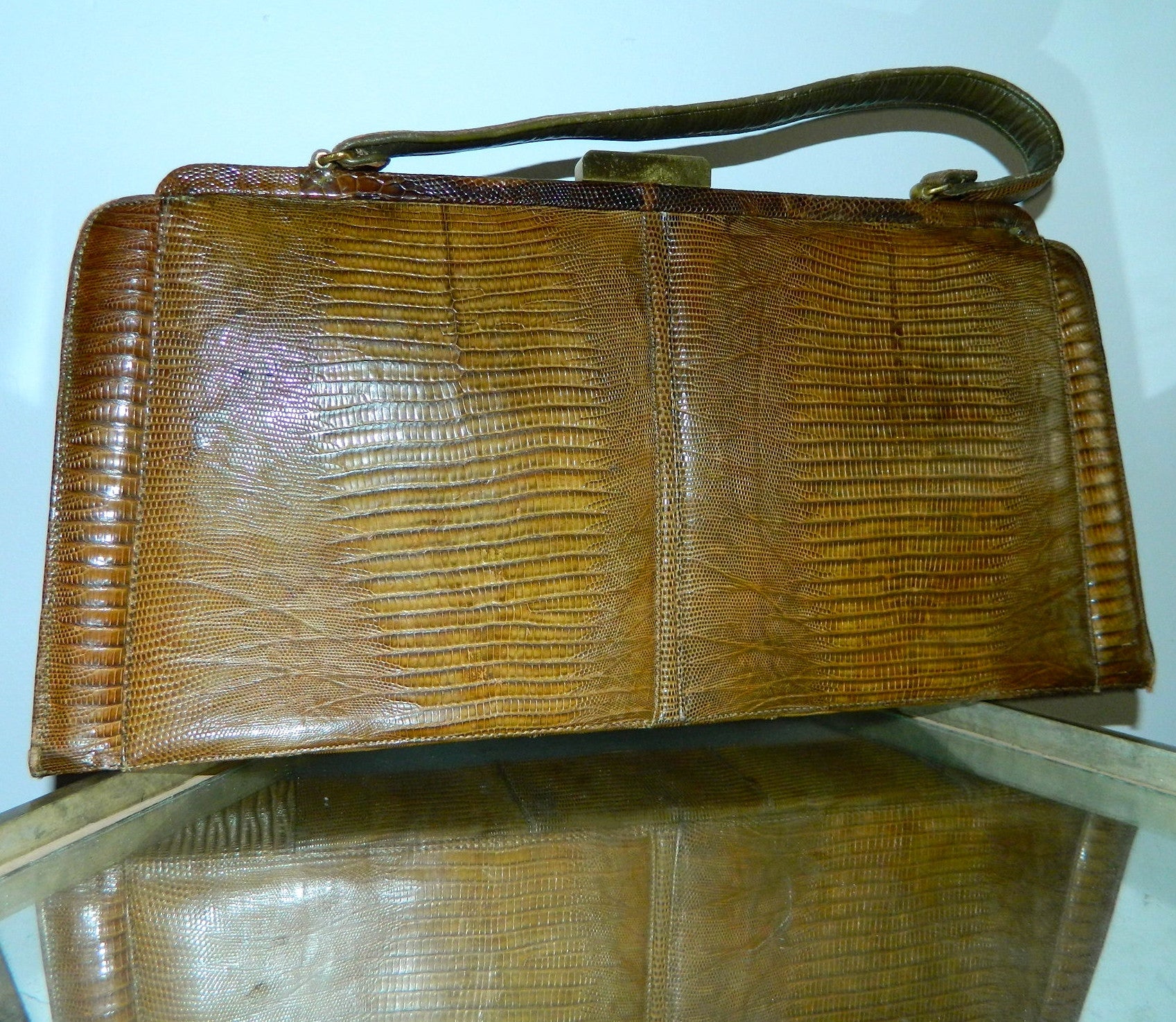 vintage brown TEGU lizard handbag Palizzio 1960s purse